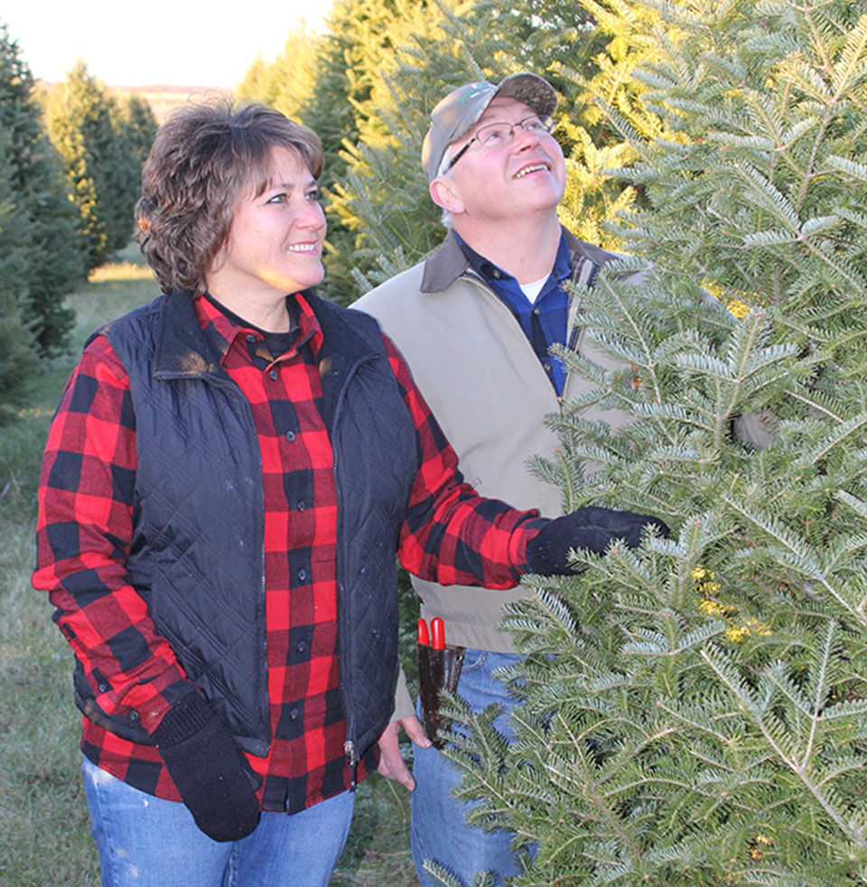 Frieler Farms: More than selling Christmas trees
